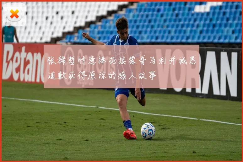 张稀哲特意捧花接蒙哥马利并诚恳道歉获得原谅的感人故事