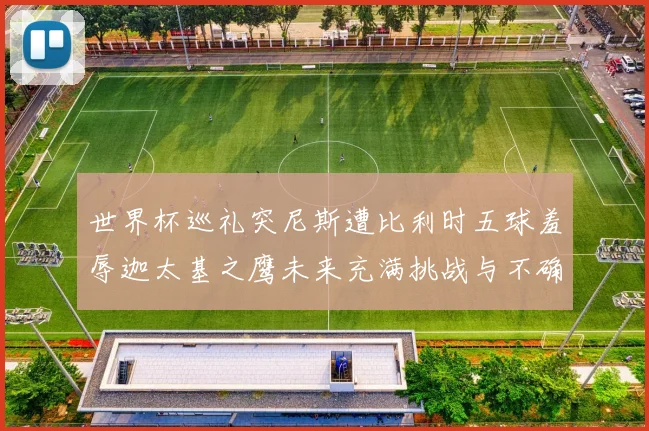 世界杯巡礼突尼斯遭比利时五球羞辱迦太基之鹰未来充满挑战与不确定性