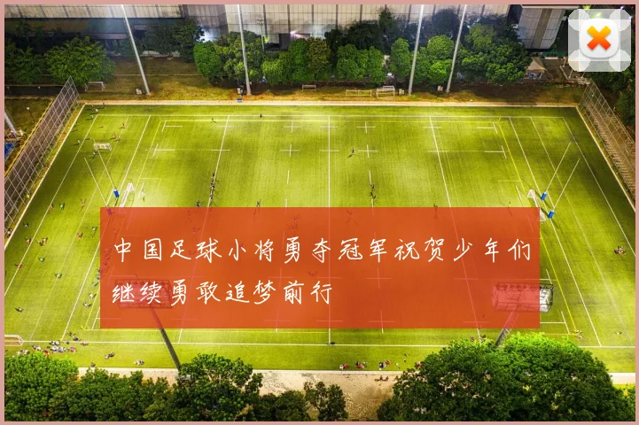 中国足球小将勇夺冠军祝贺少年们继续勇敢追梦前行