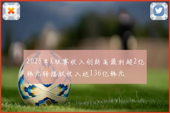 2025年K联赛收入创新高盈利超2亿韩元转播权收入达136亿韩元